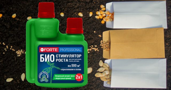 Когда сеять семена на рассаду и как не ошибиться в сроках?