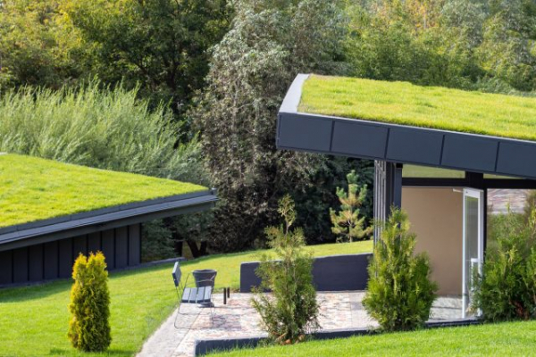 Всё об озеленении крыш: история, виды, пошаговая технология, за и против