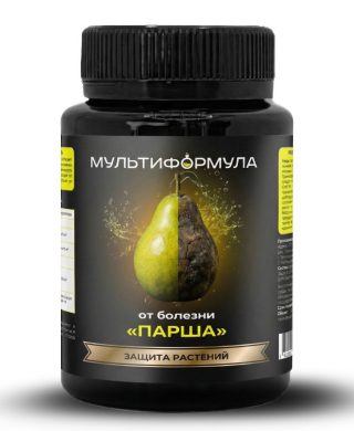 Корни растений гниют, плоды портятся: первые признаки опасных болезней