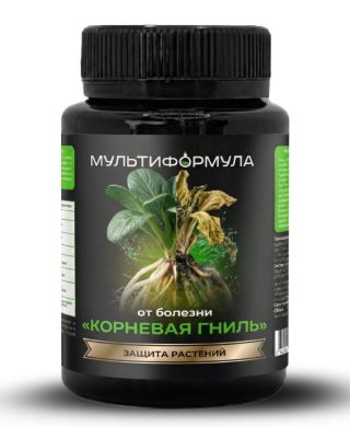 Корни растений гниют, плоды портятся: первые признаки опасных болезней