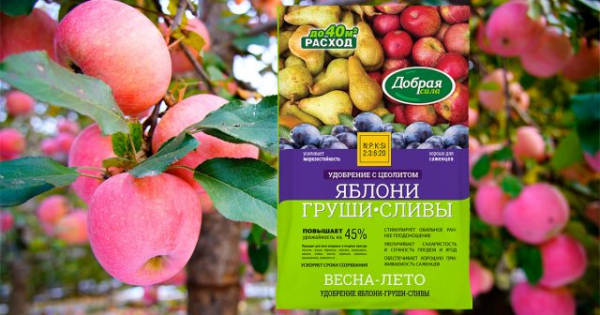 Летняя подкормка яблонь: как, чем и когда удобрять для сладких плодов Летняя подкормка яблонь: как, чем и когда удобрять для сладких плодов