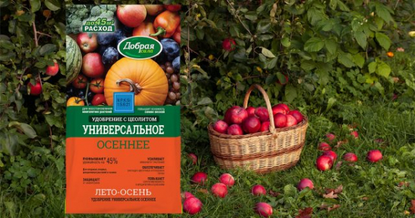 Летняя подкормка яблонь: как, чем и когда удобрять для сладких плодов Летняя подкормка яблонь: как, чем и когда удобрять для сладких плодов