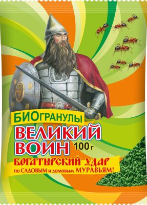 Муравьи на даче: главные причины появления и рабочее решение