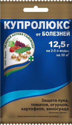 После дождей растения под угрозой: как защитить урожай от болезней После дождей растения под угрозой: как защитить урожай от болезней