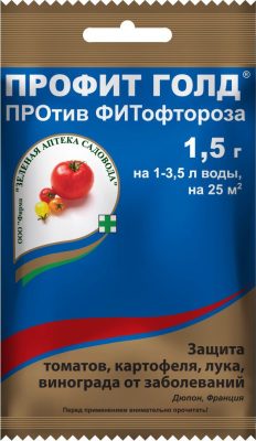 После дождей растения под угрозой: как защитить урожай от болезней После дождей растения под угрозой: как защитить урожай от болезней