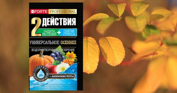 Чем подкормить розы после цветения? Чем подкормить розы после цветения?