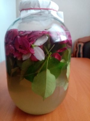 Готовим полезные и вкусные смеси для чая и тизана Готовим полезные и вкусные смеси для чая и тизана