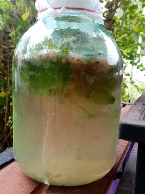 Готовим полезные и вкусные смеси для чая и тизана Готовим полезные и вкусные смеси для чая и тизана
