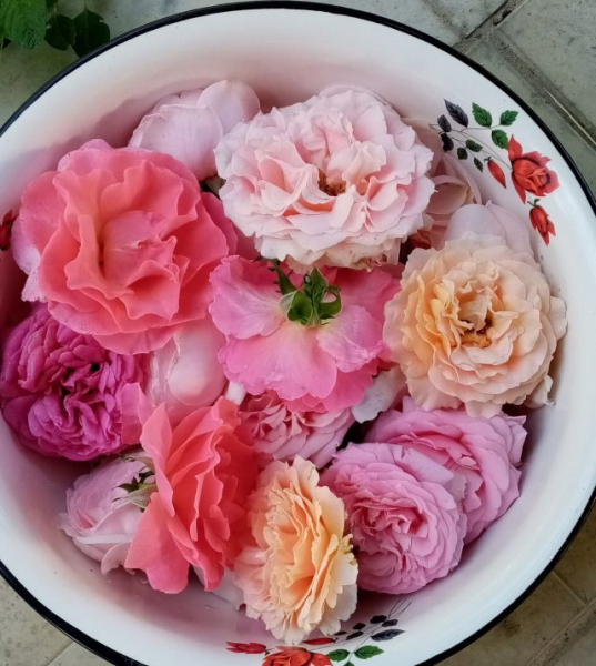 Готовим полезные и вкусные смеси для чая и тизана Готовим полезные и вкусные смеси для чая и тизана