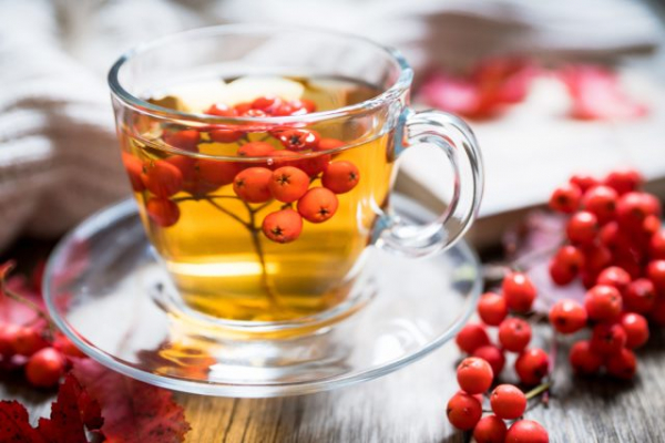 Лучшие сорта рябины с вкусными ягодами: не только для птиц и варенья Лучшие сорта рябины с вкусными ягодами: не только для птиц и варенья